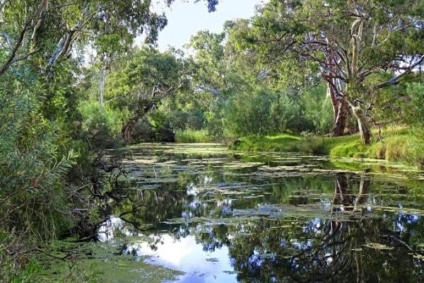 WERRIBEE RIVER